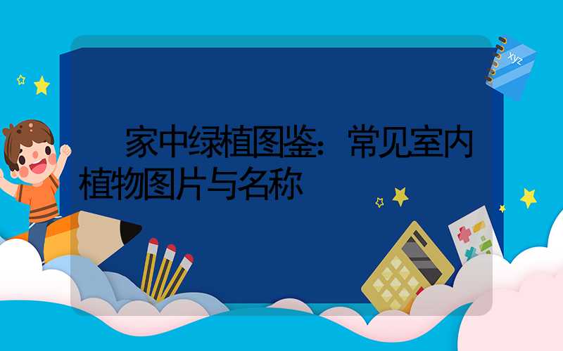  家中绿植图鉴：常见室内植物图片与名称